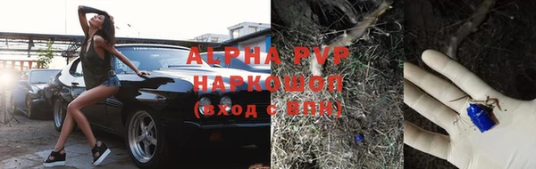 хмурый Горно-Алтайск